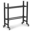 Elite Series Mass Storage System with Bumper Plate & Medicine Ball Shelves | 2 Tier 45.5" / 42" / Yes