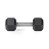 15 LB Straight Stainless Steel Hex Dumbbells